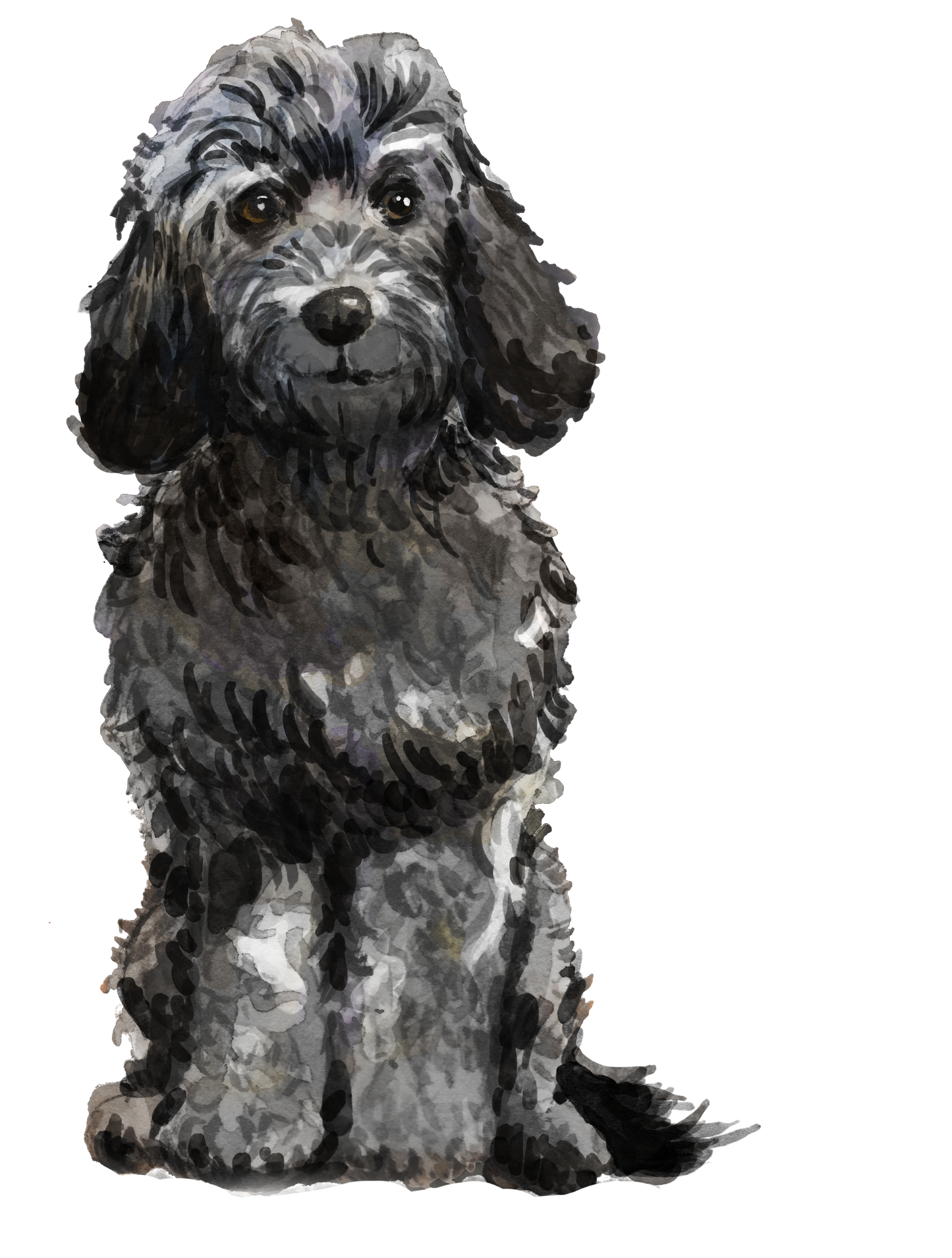 Personalised Cockapoo Christmas Card - Blush Boulevard Black Greeting Card
