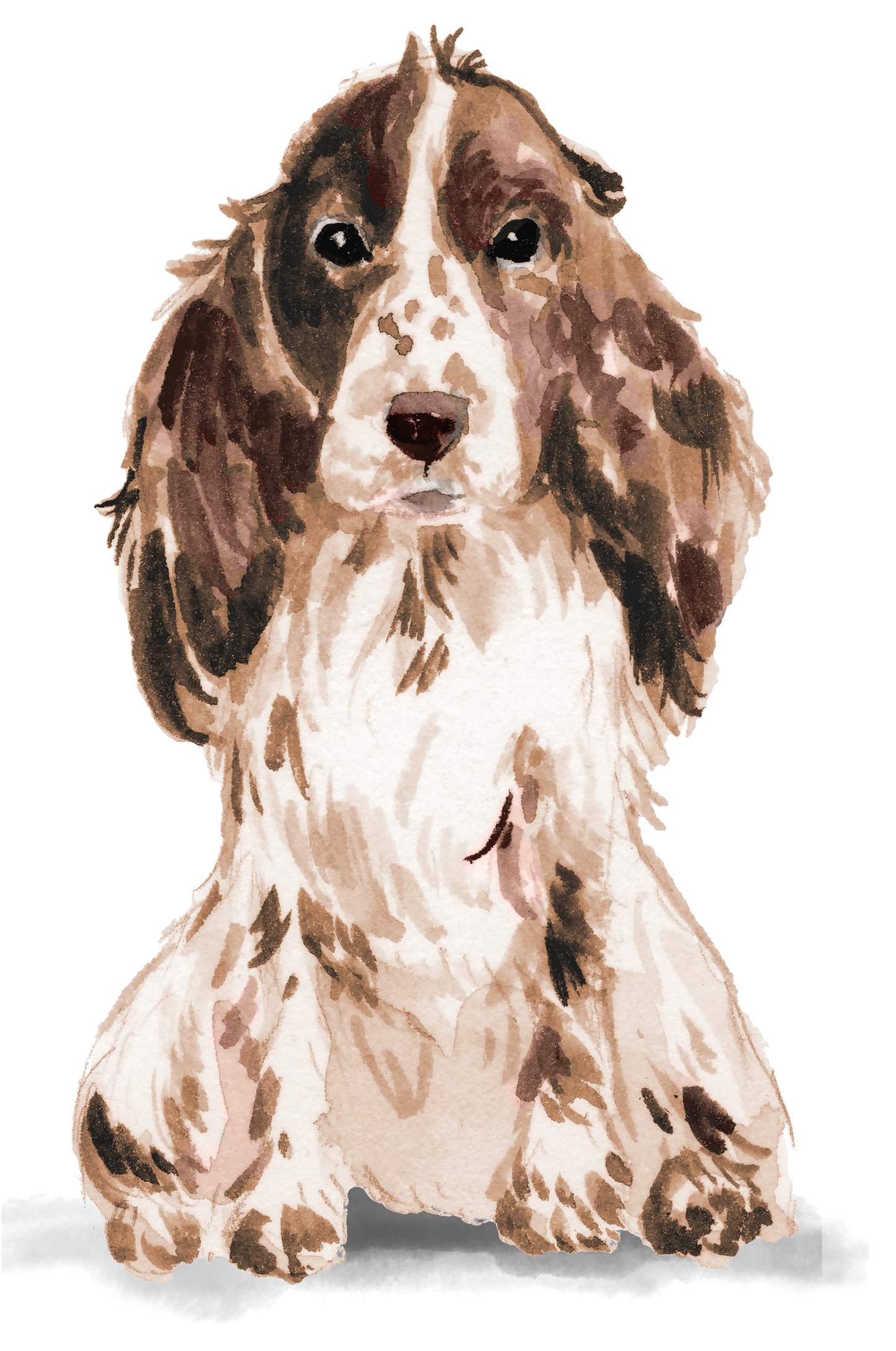Personalised Cocker Spaniel Christmas Card - Blush Boulevard Brown Greeting Card