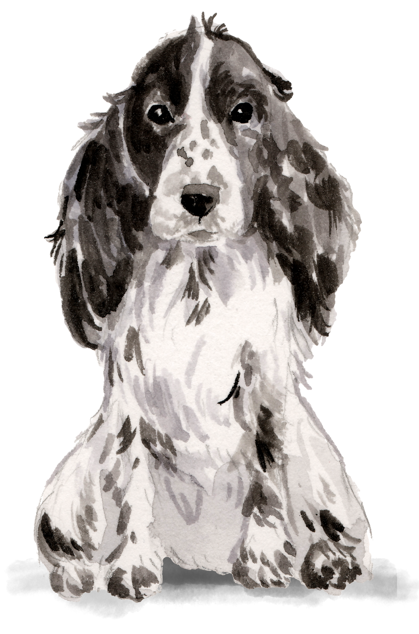 Personalised Cocker Spaniel Christmas Card - Blush Boulevard Black Greeting Card