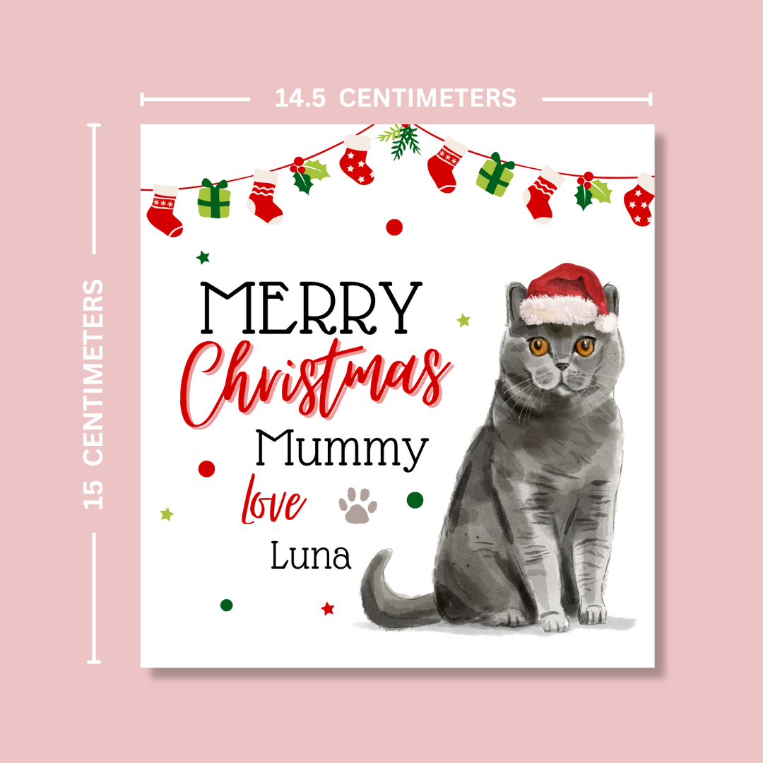 Personalised British Shorthair Cat Christmas Card - Blush Boulevard Greeting Card