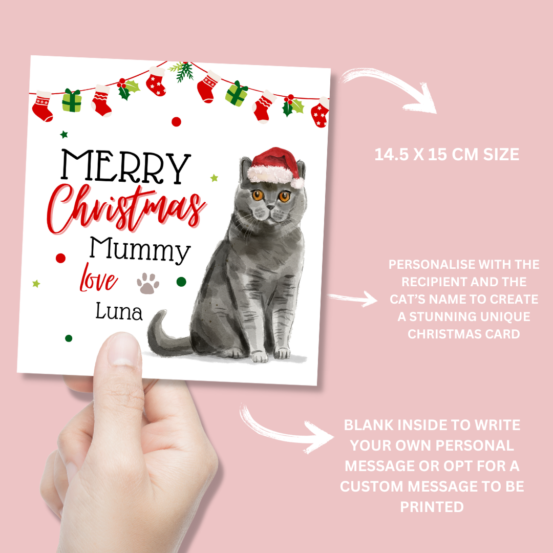 Personalised British Shorthair Cat Christmas Card - Blush Boulevard Greeting Card