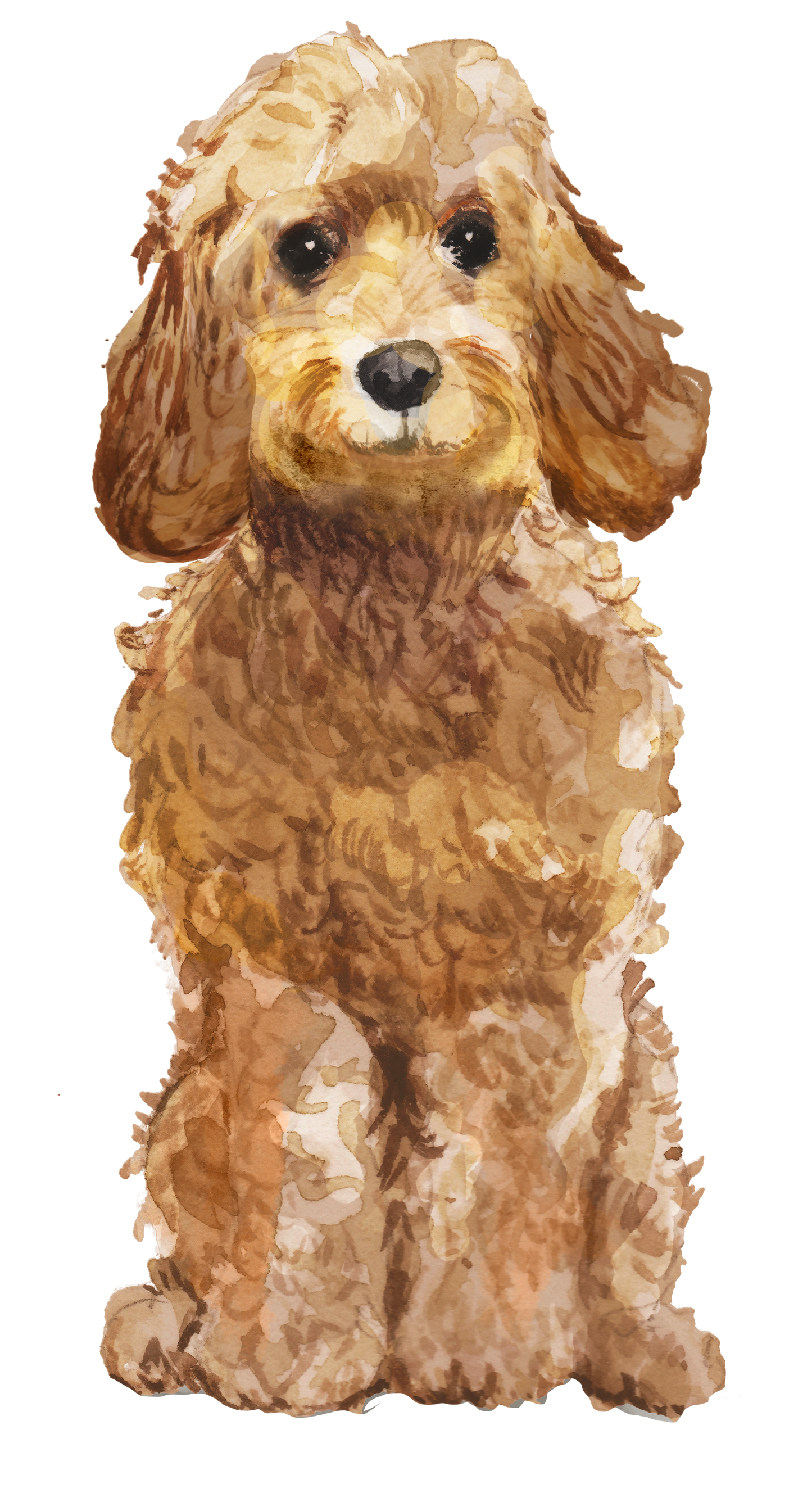Personalised Cockapoo Christmas Card - Blush Boulevard Golden Greeting Card