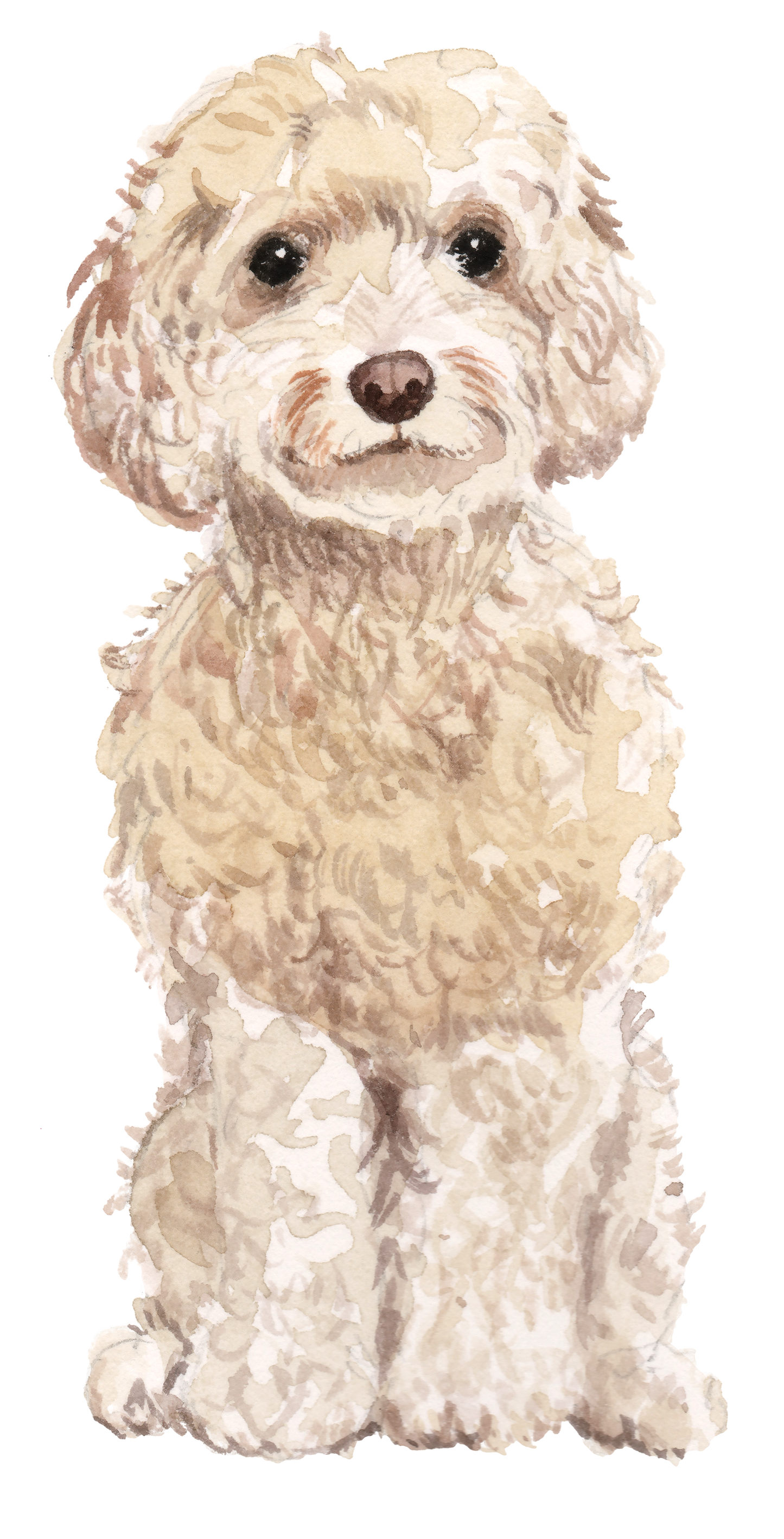 Personalised Cockapoo Christmas Card - Blush Boulevard Champagne Greeting Card