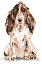 Load image into Gallery viewer, Personalised Cocker Spaniel Christmas Card - Blush Boulevard Brown Greeting Card
