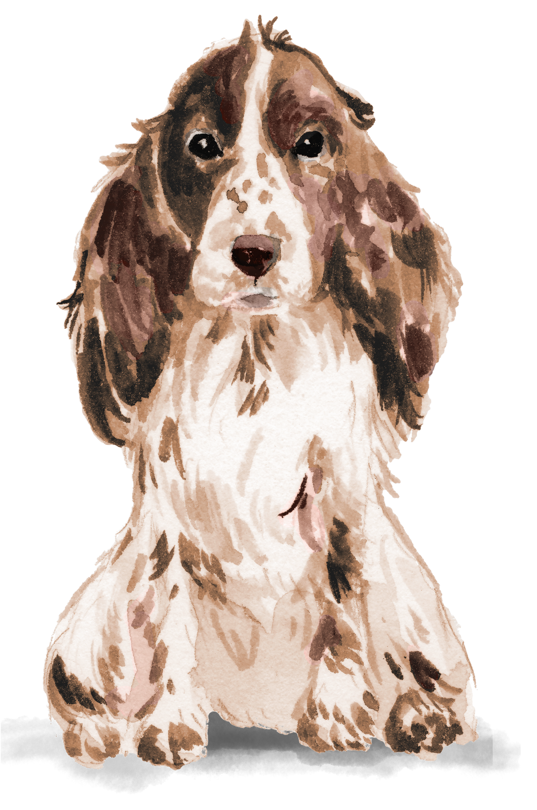 Personalised Cocker Spaniel Christmas Card - Blush Boulevard Brown Greeting Card