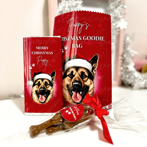 Personalised Red Dog Christmas Goodie Bag