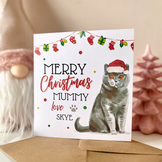 Personalised British Shorthair Cat Christmas Card - Blush Boulevard Greeting Card